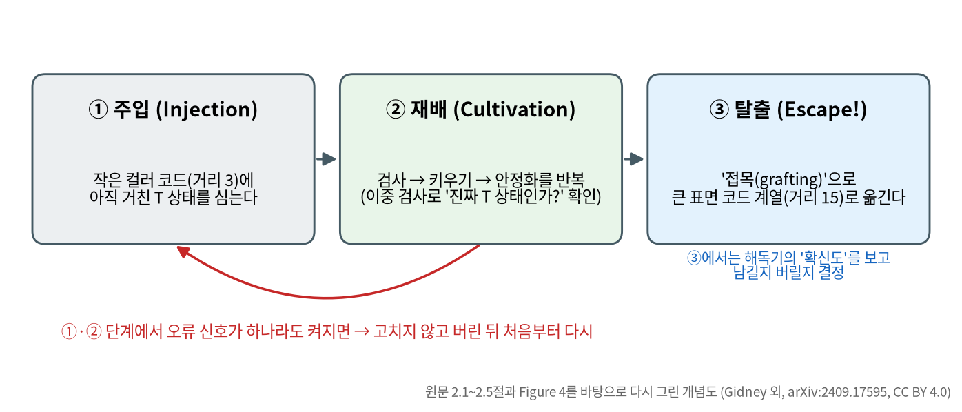 마법 상태 재배의 세 단계 도식. ① 주입 단계에서 작은 컬러 코드에 거친 T 상태를 심고, ② 재배 단계에서 검사·키우기·안정화를 반복하며, ③ 탈출 단계에서 접목으로 큰 표면 코드 계열(거리 15)로 옮긴다. ①·② 단계에서 오류 신호가 하나라도 켜지면 버리고 처음부터 다시 시작한다는 빨간 화살표가 있다.